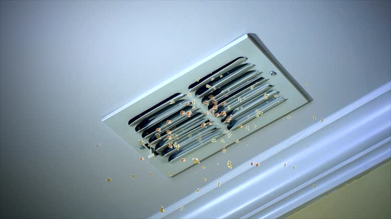Best Air Duct Sanitizing Services  in Sawyerwood, OH